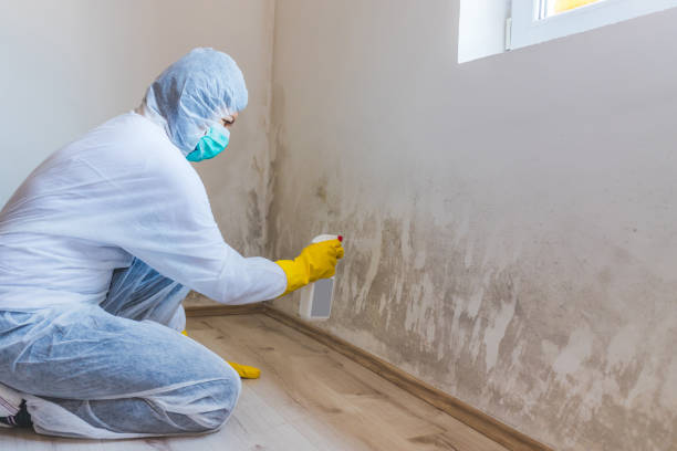 Professional mold removal team in Nashville